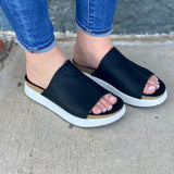 Wayside Black